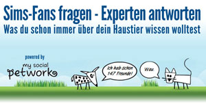 Sims-Fans fragen - Experten antworten