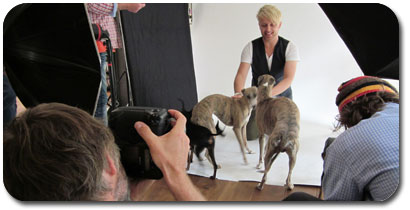 Die Sims 3 Einfach tierisch